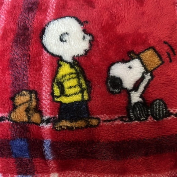 Berkshire Blanket Peanuts® VelvetLoft® Cute Character Snoopy Plush Throw Blanket - Picture 4 of 7